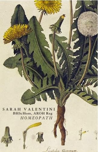 Sarah Valentini Homeopathy | health | 8 Milfay Ave, Kew VIC 3101, Australia | 0408542762 OR +61 408 542 762