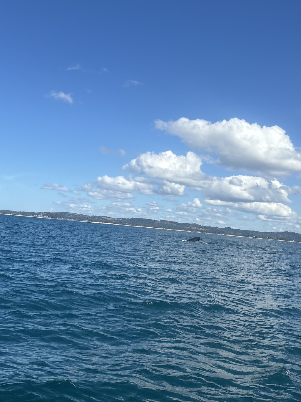 Explore Byron Bay Pty Ltd | Unit 3/10 Ironbark Ave, Byron Bay NSW 2481, Australia | Phone: 0467 277 669