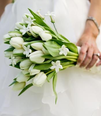 Gay Northcott Marriage Celebrant | 4 Giggs Glen, Craigmore SA 5114, Australia | Phone: 0422 055 596