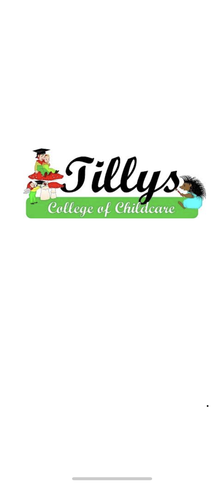 Tillys College of Childcare | university | 42 Station St, Waratah NSW 2298, Australia | 0249677399 OR +61 2 4967 7399