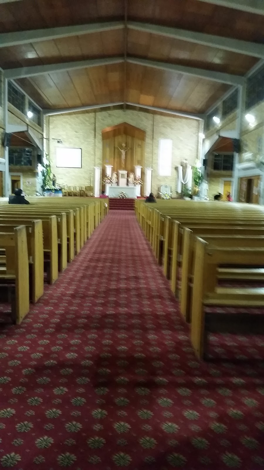 Sacred Heart Catholic Church Cabramatta | church | 13 Park Rd, Cabramatta NSW 2166, Australia | 0297242151 OR +61 2 9724 2151