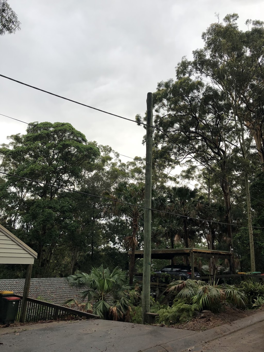 Clear view tree service | 34 Glacier Ln, Nabiac NSW 2312, Australia | Phone: 0499 373 615