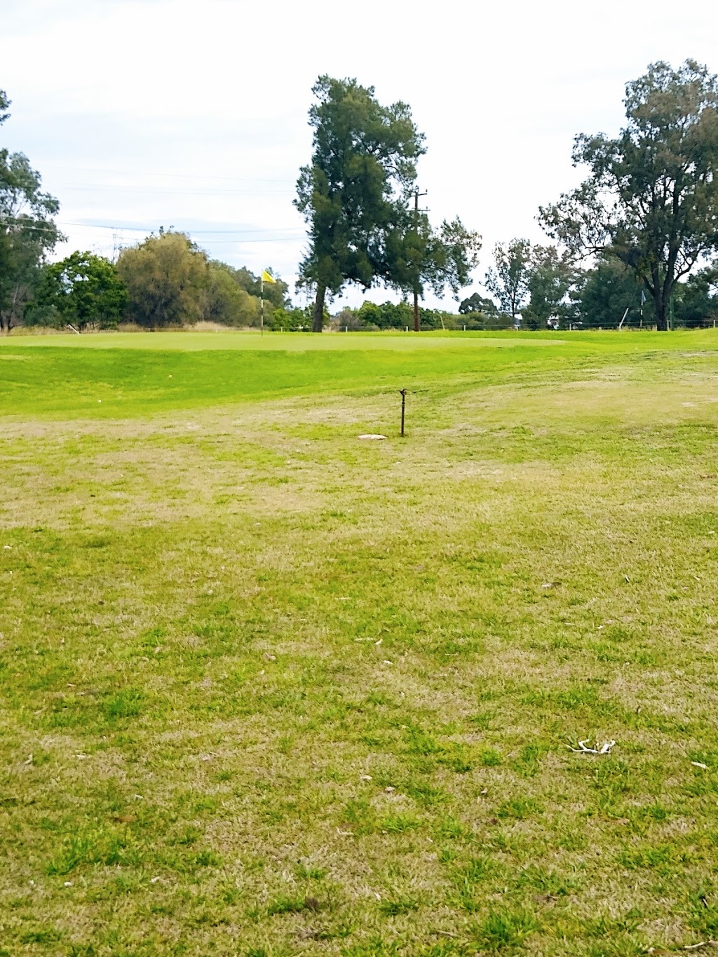 Narrabri Golf Club | Gibbons St, Narrabri NSW 2390, Australia | Phone: (02) 6792 2344