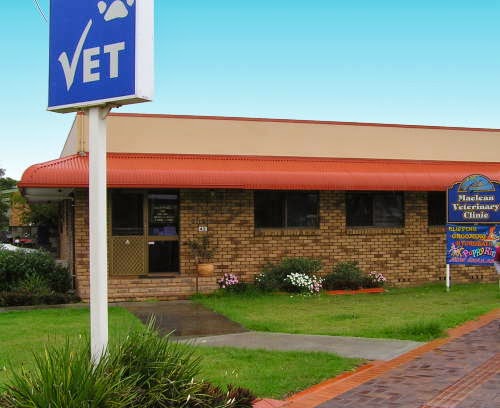 Maclean Veterinary Clinic | veterinary care | 42 River St, Maclean NSW 2463, Australia | 0266452864 OR +61 2 6645 2864