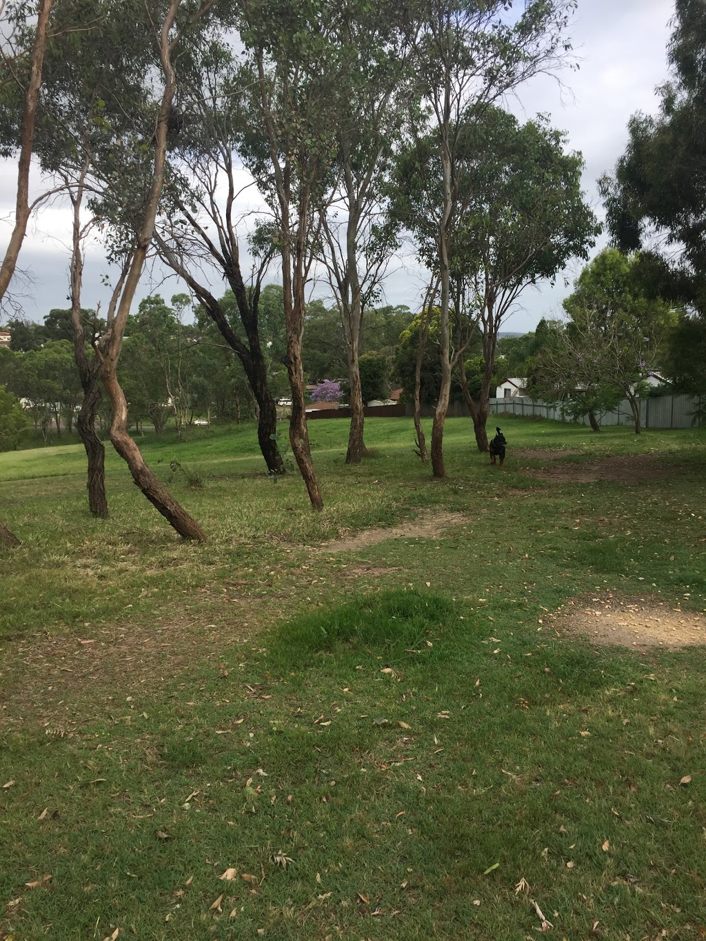 Telarah Dog Off-Leash Area | park | 14 Wollombi Rd, Rutherford NSW 2320, Australia | 0249349700 OR +61 2 4934 9700