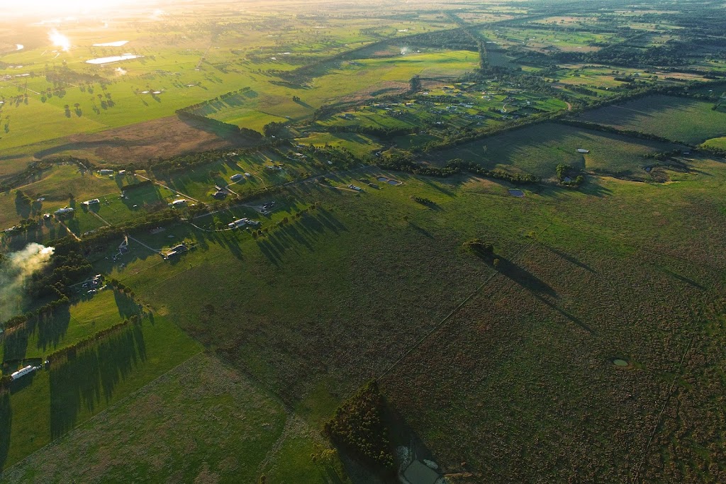 Traill Estate Stratford | 236 Briagolong Rd, Stratford VIC 3862, Australia | Phone: 0490 504 268