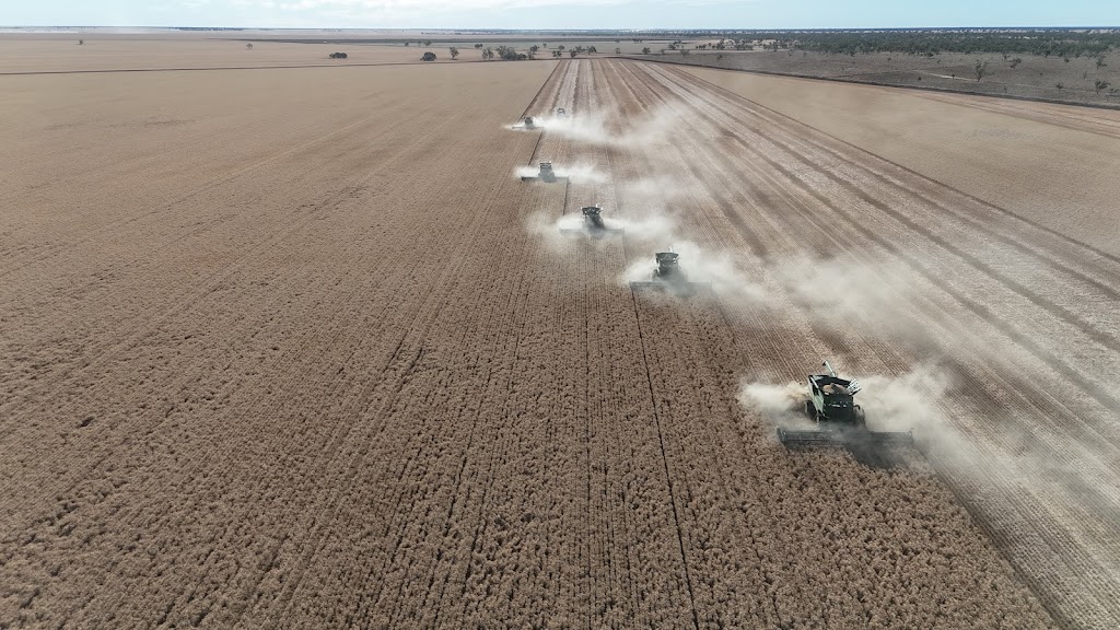 J B Contract Harvesting | 4923 Carrathool Rd, Carrathool NSW 2711, Australia | Phone: 0408 490 177