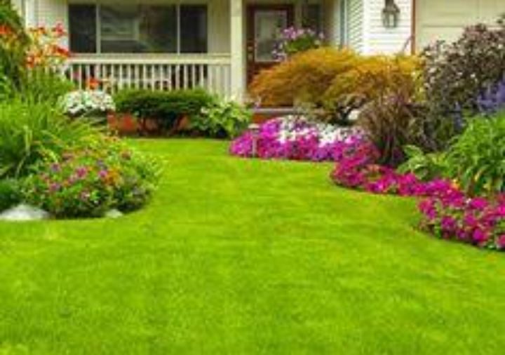 AAA LAWN AND GARDEN SERVICE |  | 31 Margaret St, Moe VIC 3825, Australia | 0478272779 OR +61 478 272 779