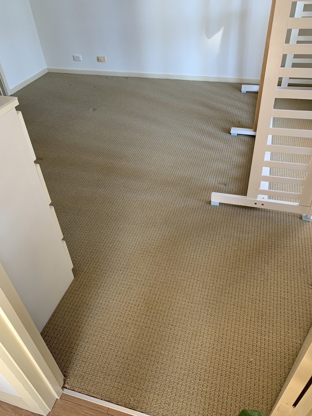 Delight Carpet Care Adelaide | 3 Wainhouse St, Torrensville SA 5031, Australia | Phone: 0449 127 793