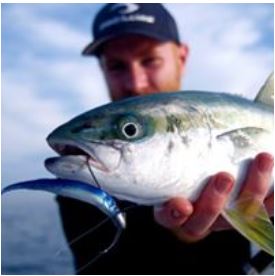 Mikes Fishing and Tackle | Mantra Resort, Shop 2/17 Buccaneer Dr, Urangan QLD 4655, Australia | Phone: 0490 348 755