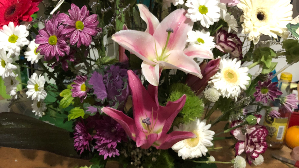 Nursery on Mertin | 45 Mertin St, Bourke NSW 2840, Australia | Phone: 0427 723 230