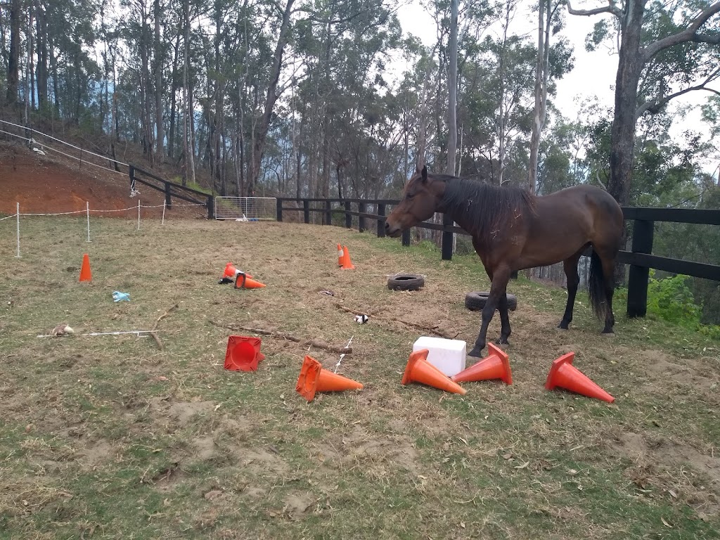Suzanne Underwood Equine Assisted Therapy | health | Narrowleaf Rd, Advancetown QLD 4211, Australia | 0450305499 OR +61 450 305 499