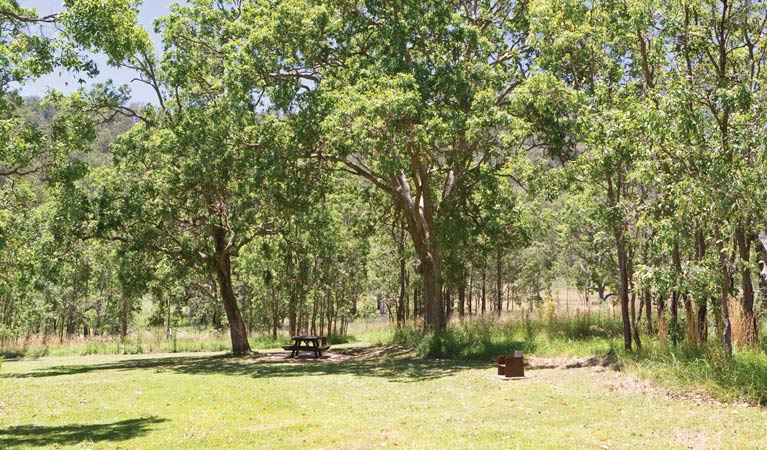 Youdales Hut campground and picnic area | Spielios Trail, Yarrowitch NSW 2354, Australia | Phone: (02) 6777 2755