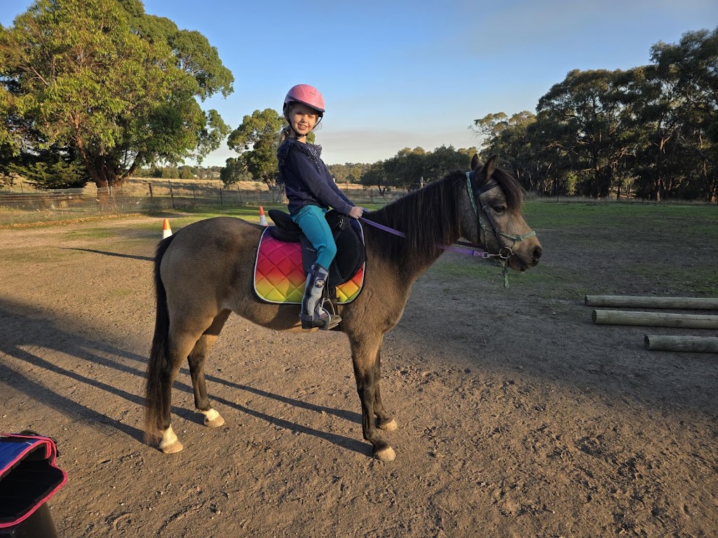 Rebel Equestrian Centre | 29 William Ct, Berringa VIC 3351, Australia | Phone: 0406 498 528