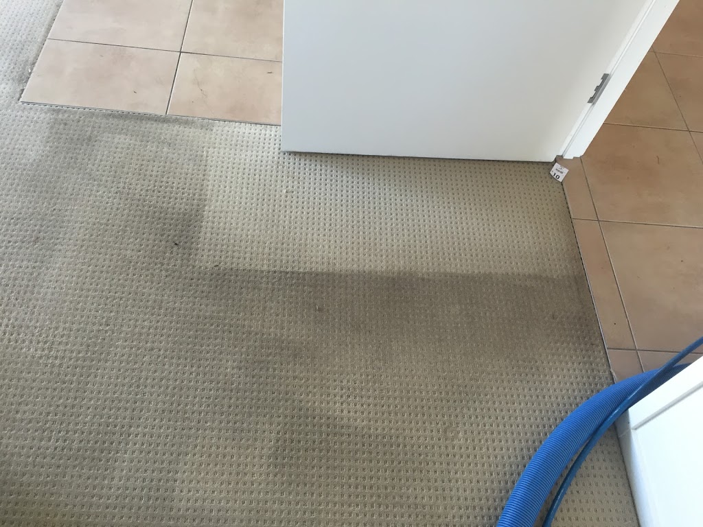 Fair Dinkum Carpet & Pest Control | laundry | 8 Calluna Pl, Mountain Creek QLD 4557, Australia | 0422627458 OR +61 422 627 458