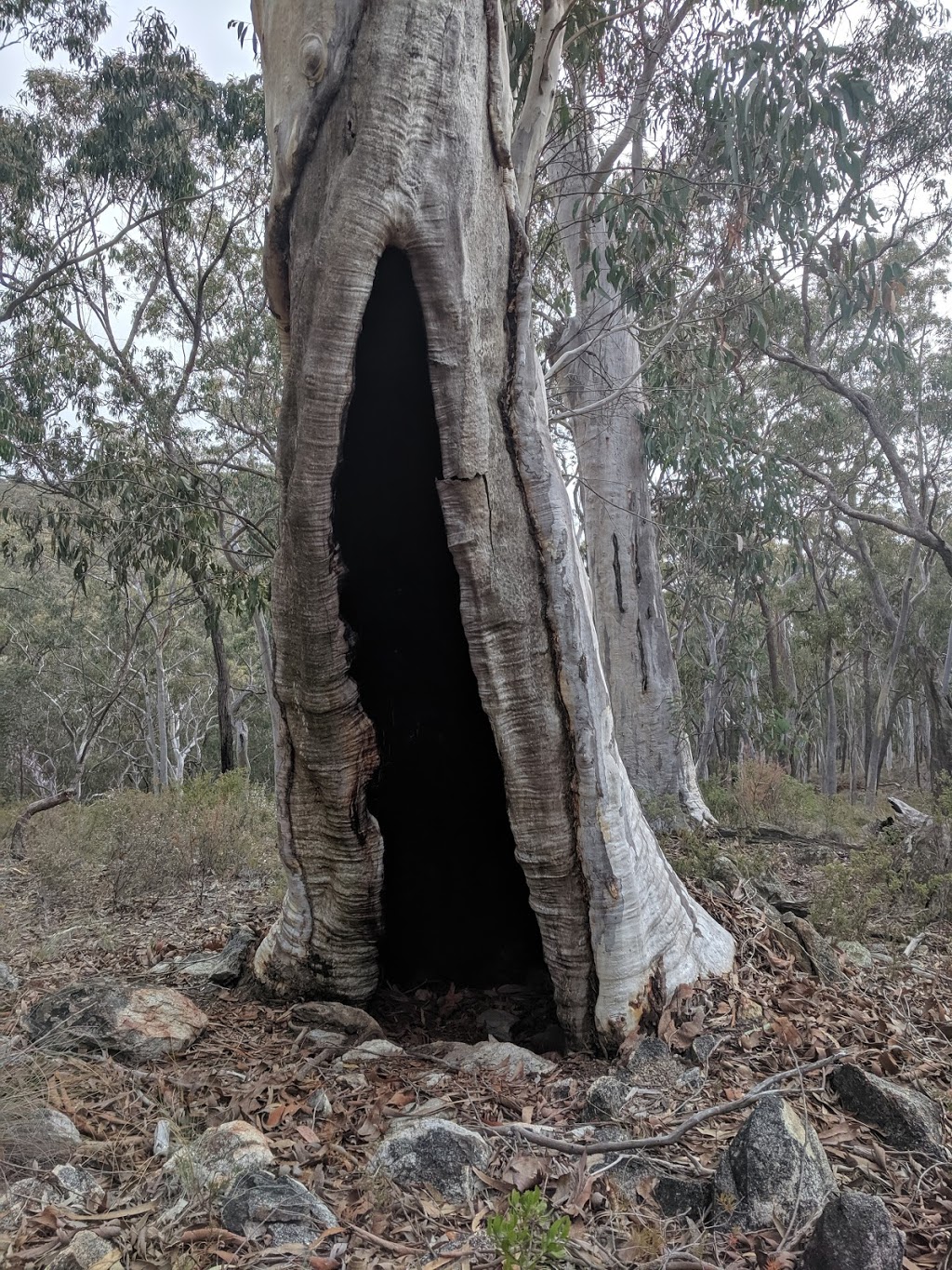 Mullions Range | park | New South Wales 2800, Australia