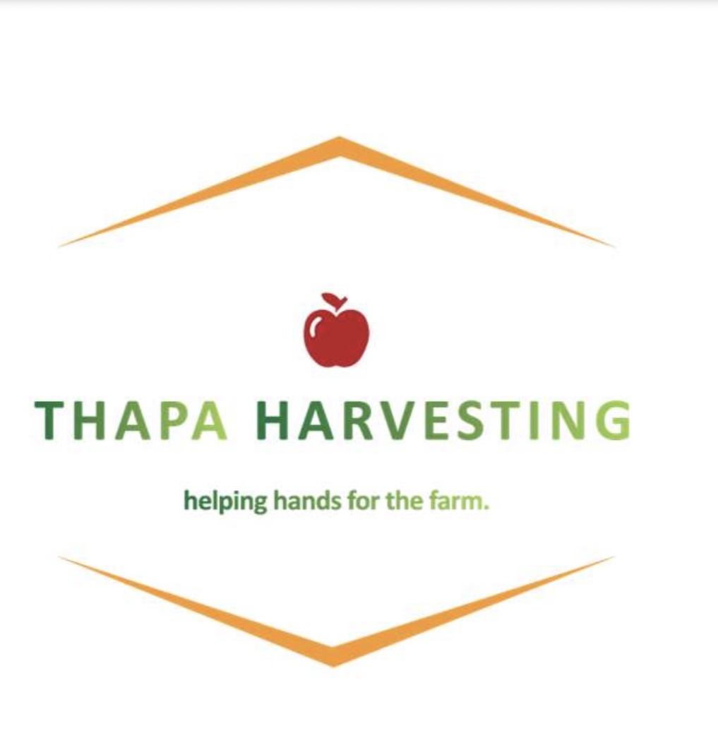 Thapa Harvesting | 6 Haig St, The Summit QLD 4377, Australia | Phone: 0401 337 862