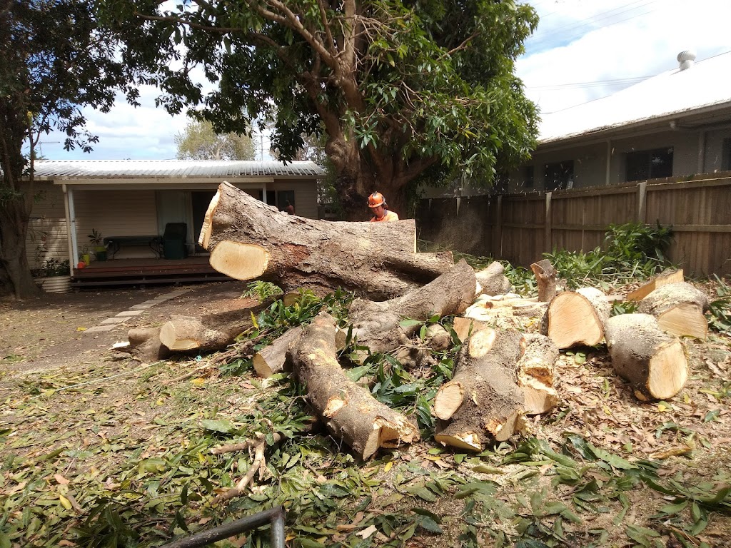 Mr Chomp tree lopping | general contractor | 170 Archer St, Gumdale QLD 4154, Australia | 0408459192 OR +61 408 459 192