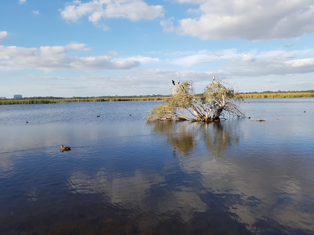 Floreat Waters | park | Herdsman Lake, Herdsman WA 6017, Herdsman WA 6017, Australia