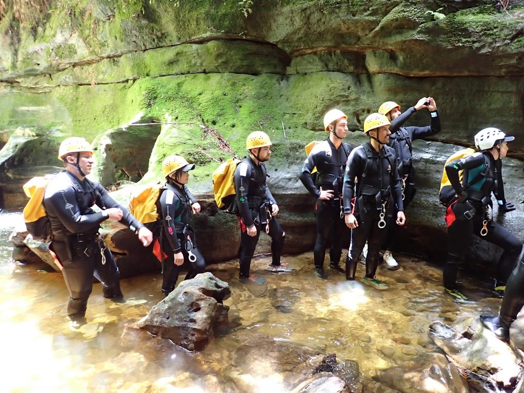 High and Wild | 207 Katoomba St, Katoomba NSW 2780, Australia | Phone: (02) 4782 6224