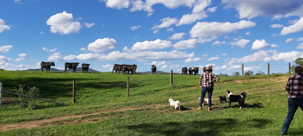 Eden Brae Farm | 1532 Rollands Plains Rd, Rollands Plains NSW 2441, Australia | Phone: 0407 067 938