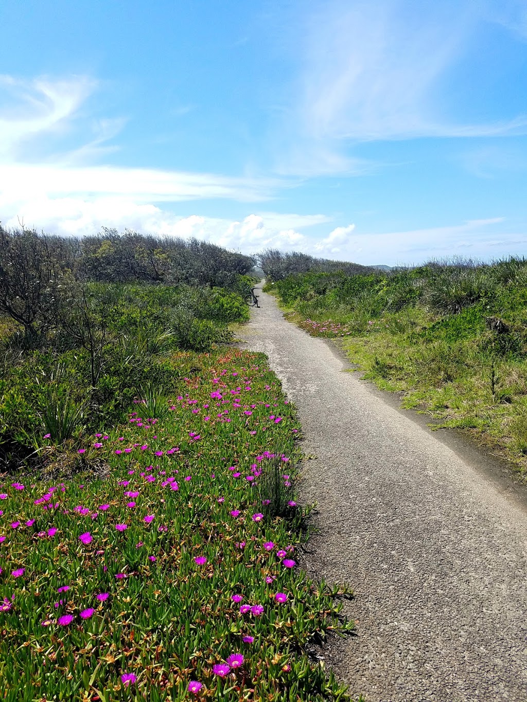 Bermagui to Wallaga Coastal Walk | Wallaga Lake NSW 2546, Australia