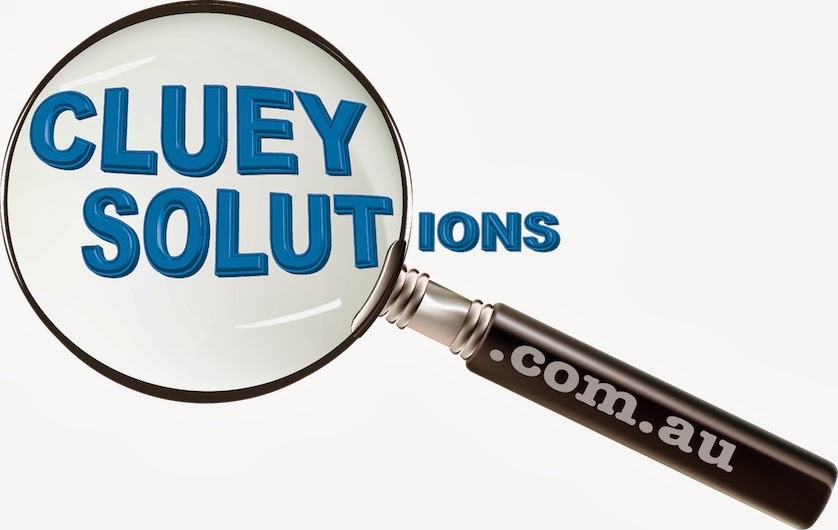 Cluey Solutions | 6 Matilda Circle, Morpeth NSW 2321, Australia | Phone: 0422 358 688