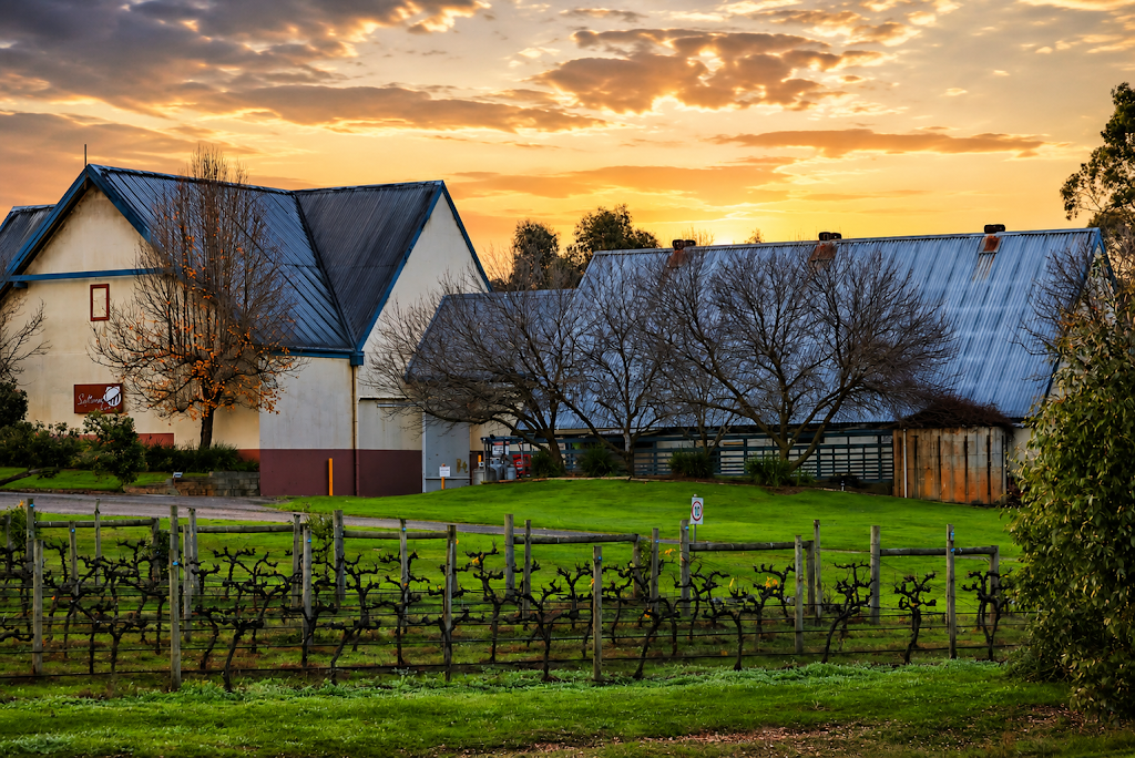 Solterra & Vine - Cafe, Restaurant & Events | 46 Hermitage Rd, Maiden Gully VIC 3551, Australia | Phone: (03) 7050 2550