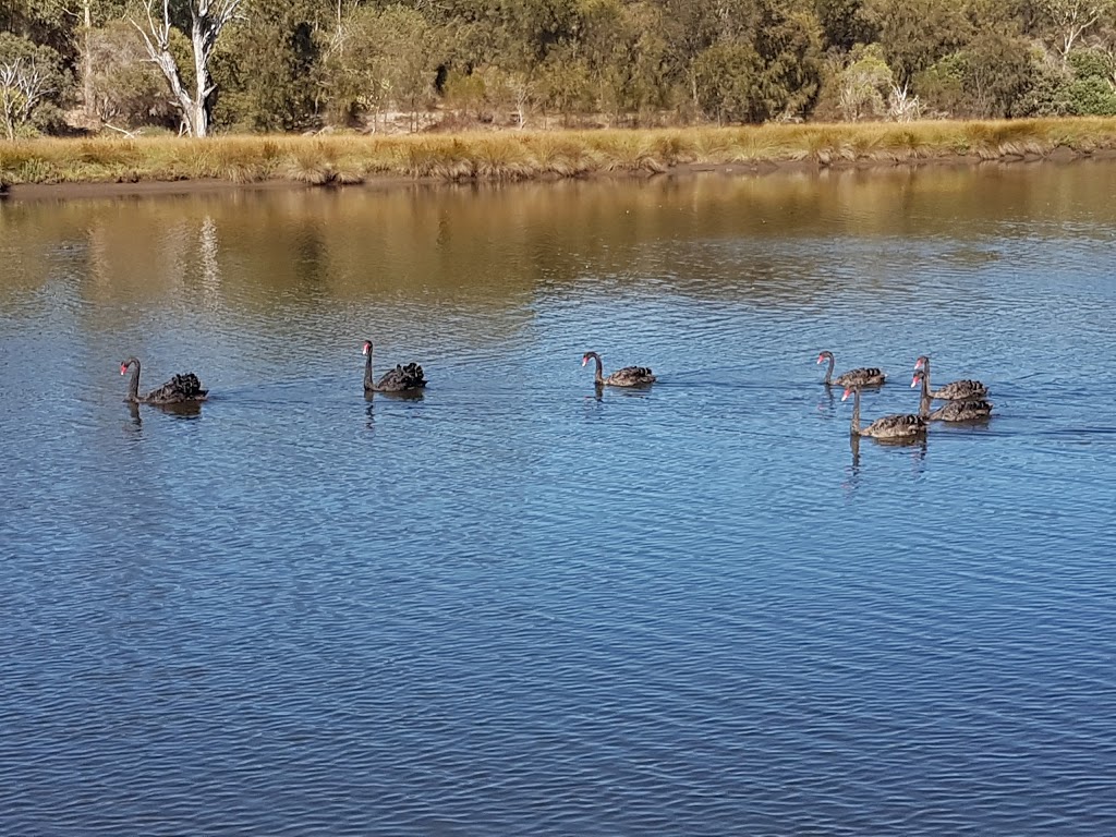 Freshwater Park | park | 57 Waterway Cres, Ascot WA 6104, Australia