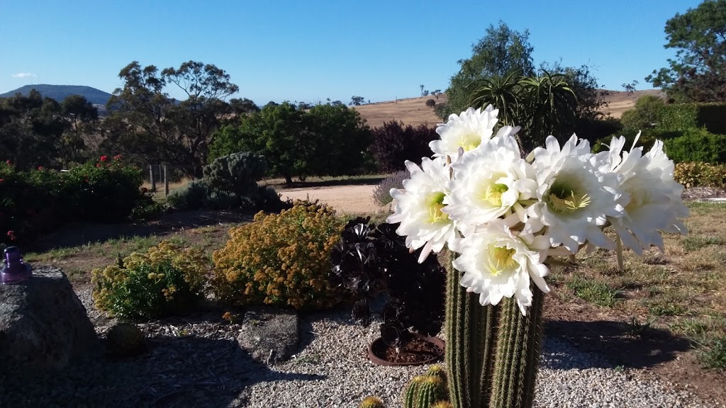 MillDuck Strawbale B&B | 143 Ford Rd, Harcourt North VIC 3453, Australia | Phone: (03) 5439 6451