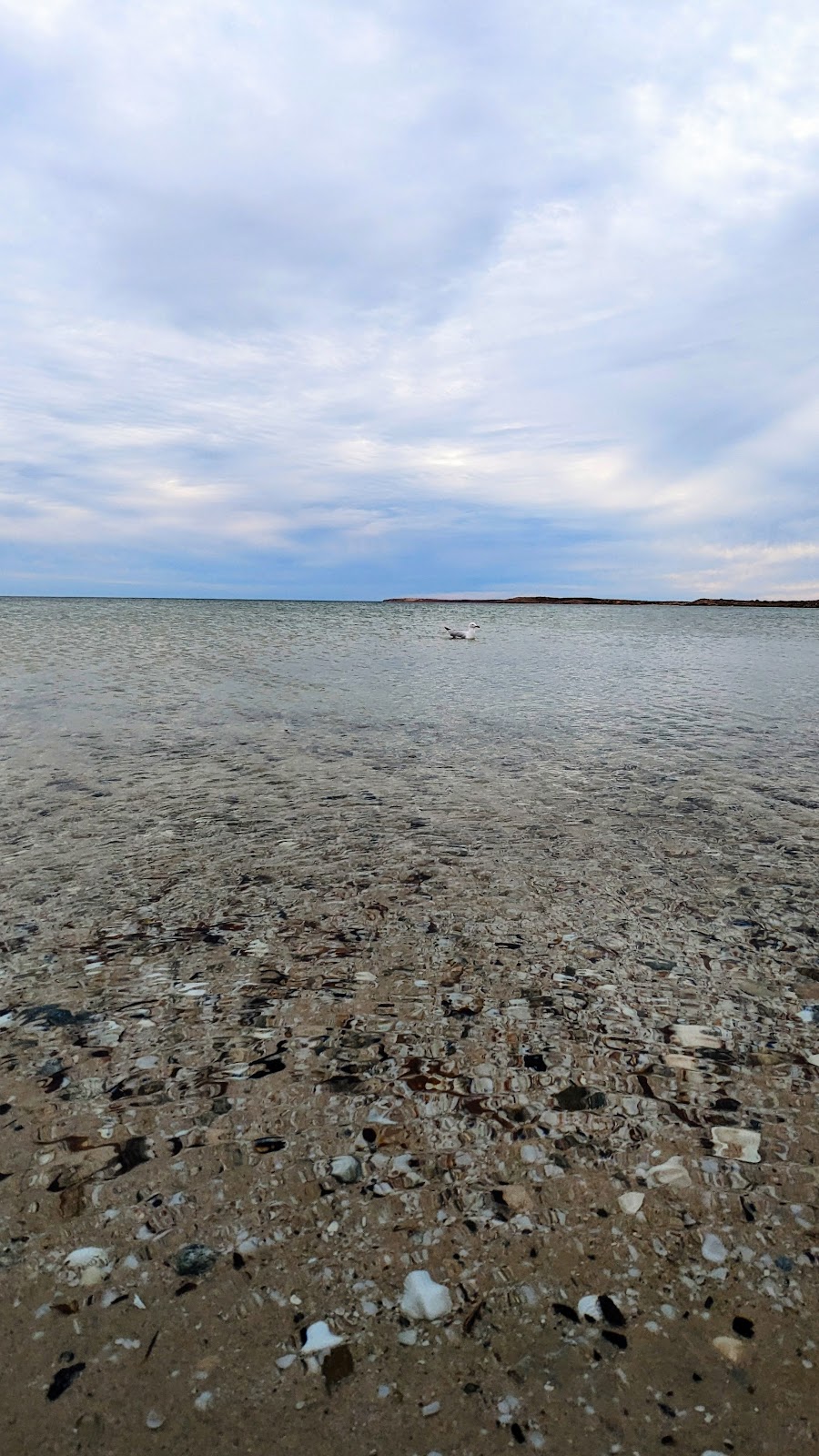 The Whalebone Camp Site | Whalebone Rd, Francois Peron Natl Park WA 6537, Australia | Phone: (08) 9948 2226