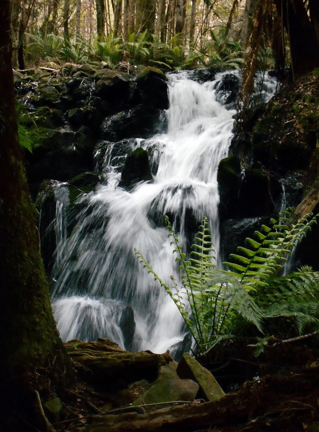 Upper Cam Falls | park | Lockwood Creek Rd, Hampshire TAS 7321, Australia