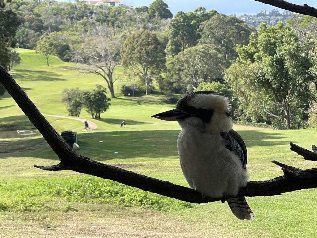 Northbridge Golf Club | 296C Sailors Bay Rd, Northbridge NSW 2063, Australia | Phone: (02) 9958 6900