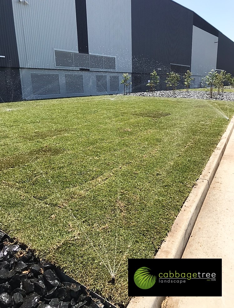 Cabbage Tree Landscape | general contractor | 2a/2 Pioneer Ave, Thornleigh NSW 2120, Australia | 0298755120 OR +61 2 9875 5120