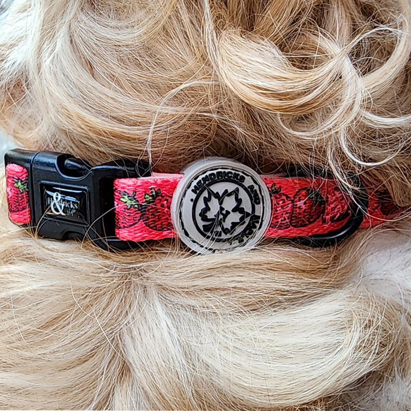 Hendricks and Maple | Great Western Hwy, Mount Victoria NSW 2786, Australia | Phone: 0422 617 897