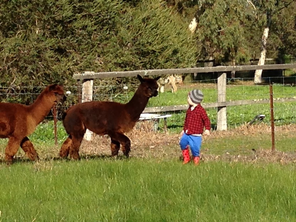 Ibis Park Farmstay | 348 Mills Rd, West Pinjarra WA 6208, Australia | Phone: 0417 952 269