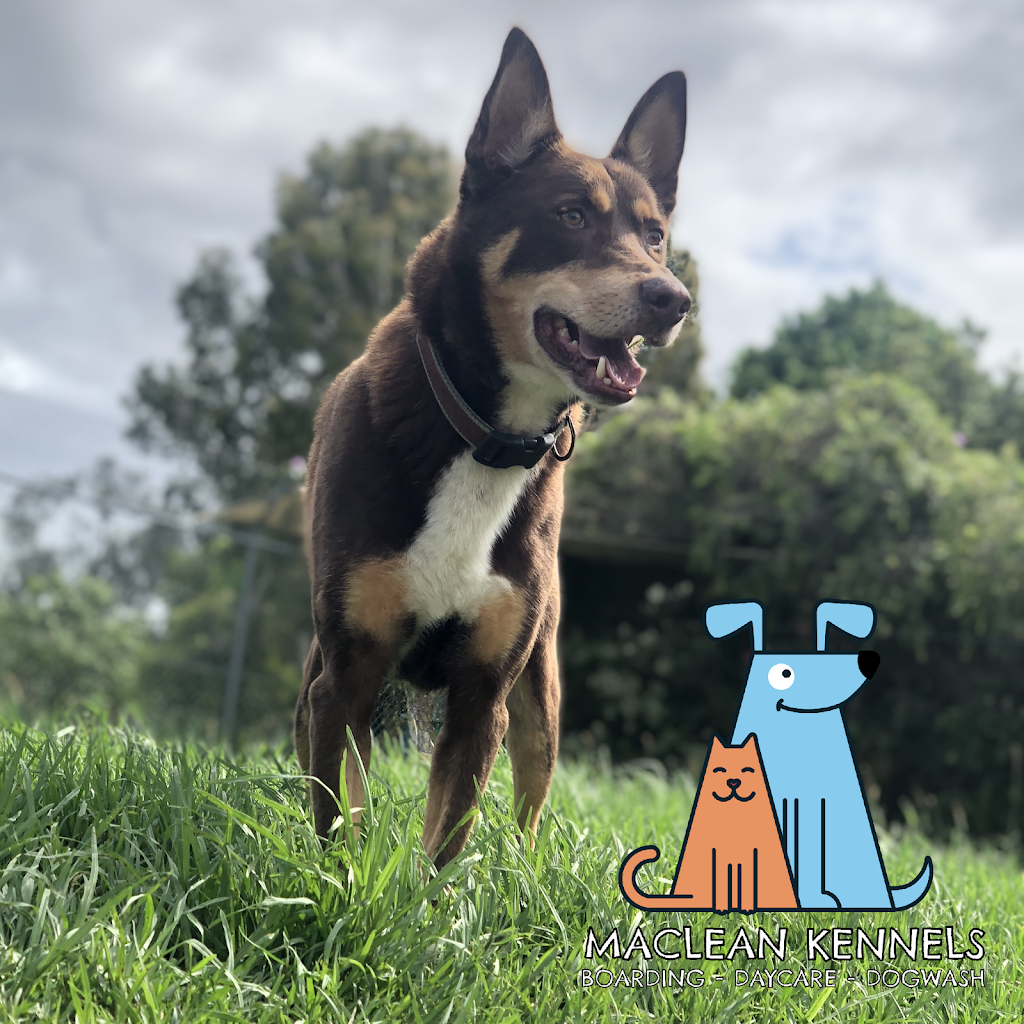Maclean Kennels and Cattery | 314 Martins Point Rd, Harwood NSW 2465, Australia | Phone: 0428 464 630