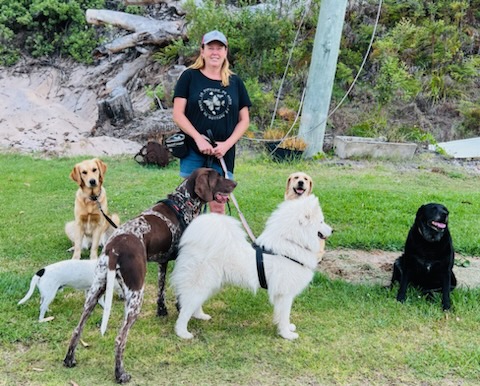 Takoda Dogs | 2941 Nelson Bay Rd, Salt Ash NSW 2318, Australia | Phone: 0417 494 868