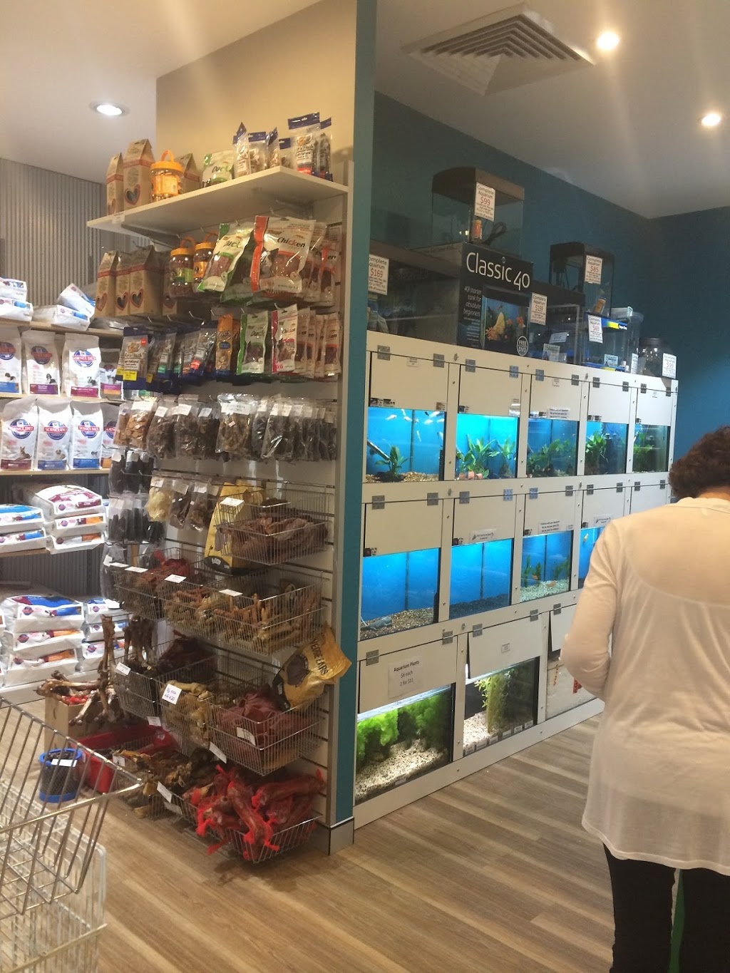 The Pet Connection | pet store | Shop 25c, St Ives Shopping Village, 166 Mona Vale Rd, St. Ives NSW 2075, Australia | 0299880038 OR +61 2 9988 0038