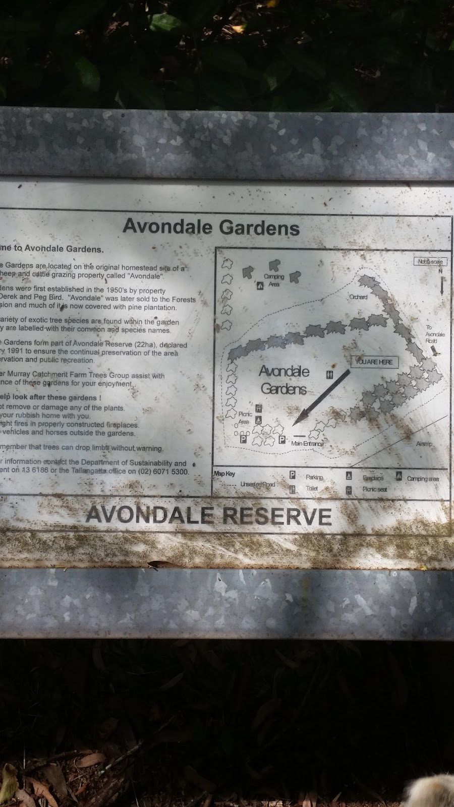 Avondale Gardens | park | Shelley VIC 3701, Australia
