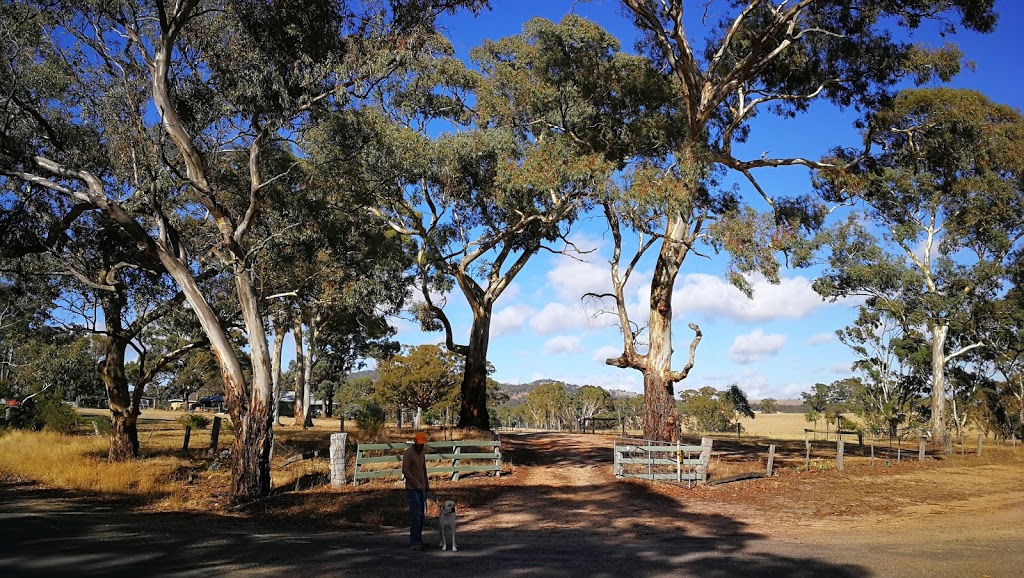 Clunes Bushland Reserve | 21 Ballarat-Maryborough Rd, Clunes VIC 3370, Australia | Phone: 13 19 63