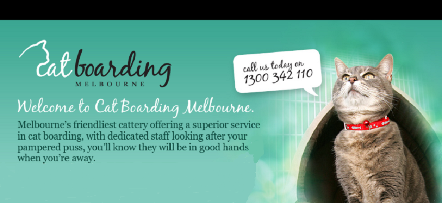 Cat Boarding Melbourne | veterinary care | 213 Sydney Rd, Coburg VIC 3058, Australia | 1300342110 OR +61 1300 342 110