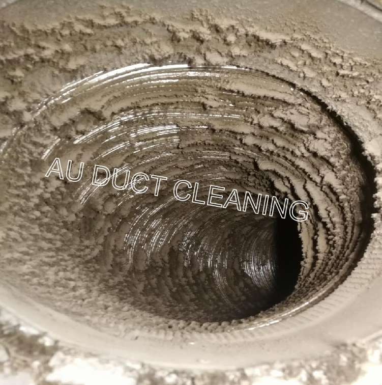 AU Duct Cleaning |  | Flat 2/37 Paschal St, Bentleigh VIC 3204, Australia | 0395570259 OR +61 3 9557 0259