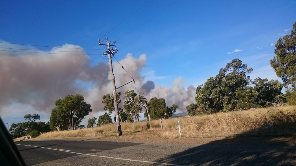 Regent Park Stock Feeds | 576 Hopkinson Rd, Oakford WA 6121, Australia | Phone: (08) 9525 1486