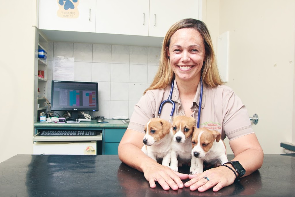 Tableland Veterinary Service - Atherton | veterinary care | 1 Tolga Rd, Atherton QLD 4883, Australia | 0740957400 OR +61 7 4095 7400