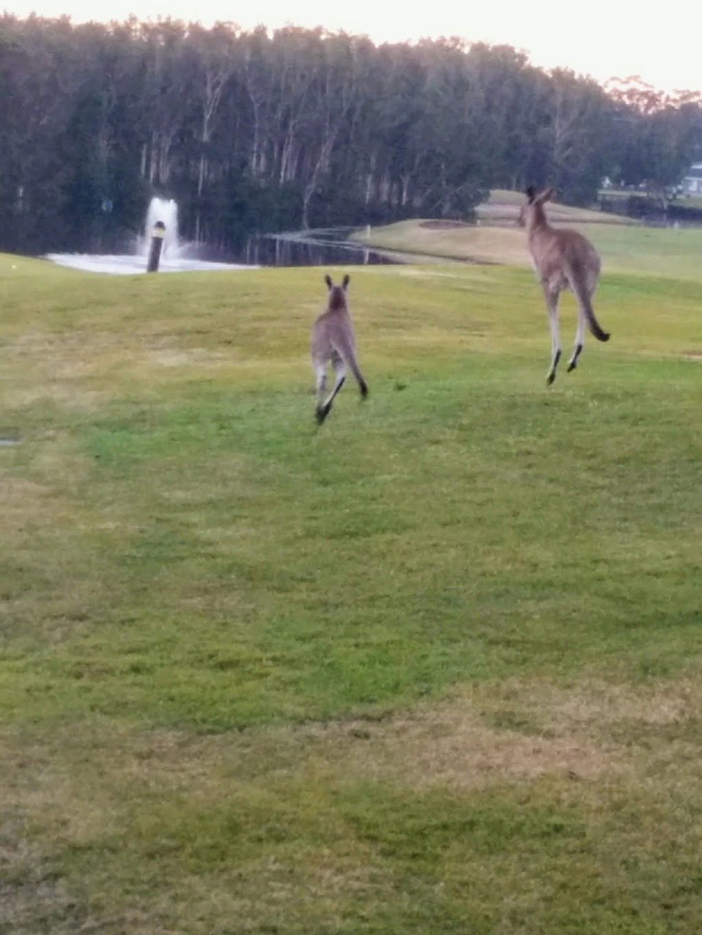 Horizons Resort Hotel Condos | 5 Horizons Dr, Salamander Bay NSW 2317, Australia | Phone: (02) 8840 2852