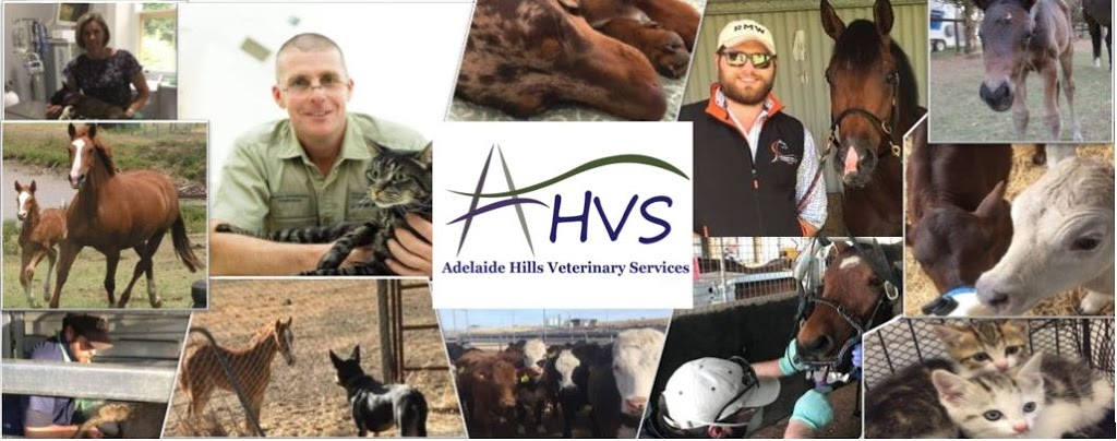 Adelaide Hills Veterinary Services - Mount Barker | 24 Mount Barker Rd, Totness SA 5250, Australia | Phone: (08) 8388 7489