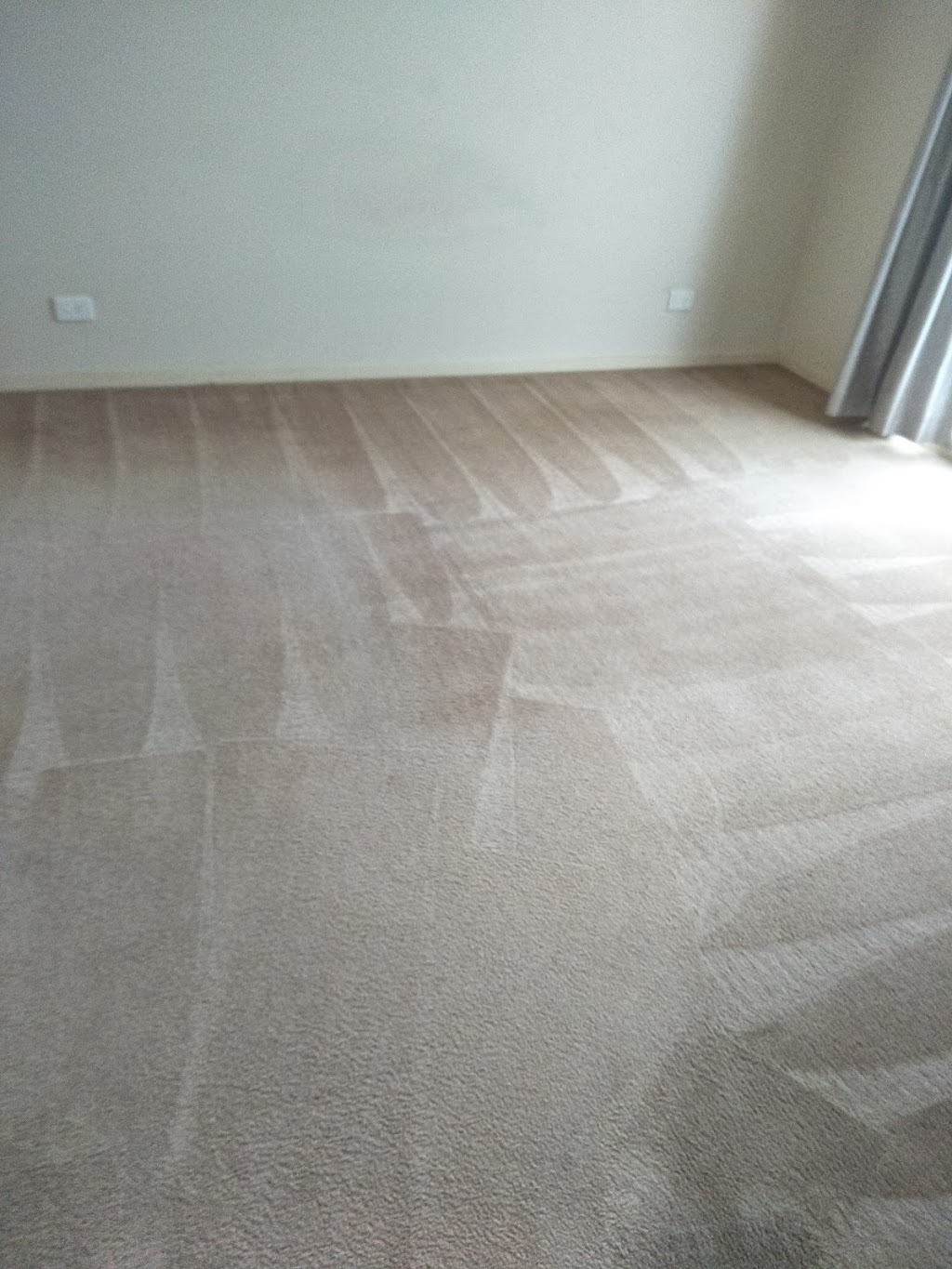 Steam Carpet Cleaning Geelong- Carpet Cleaners Geelong | laundry | Unit 1/27 Newhaven Ave, St Albans Park VIC 3219, Australia | 0478914071 OR +61 478 914 071