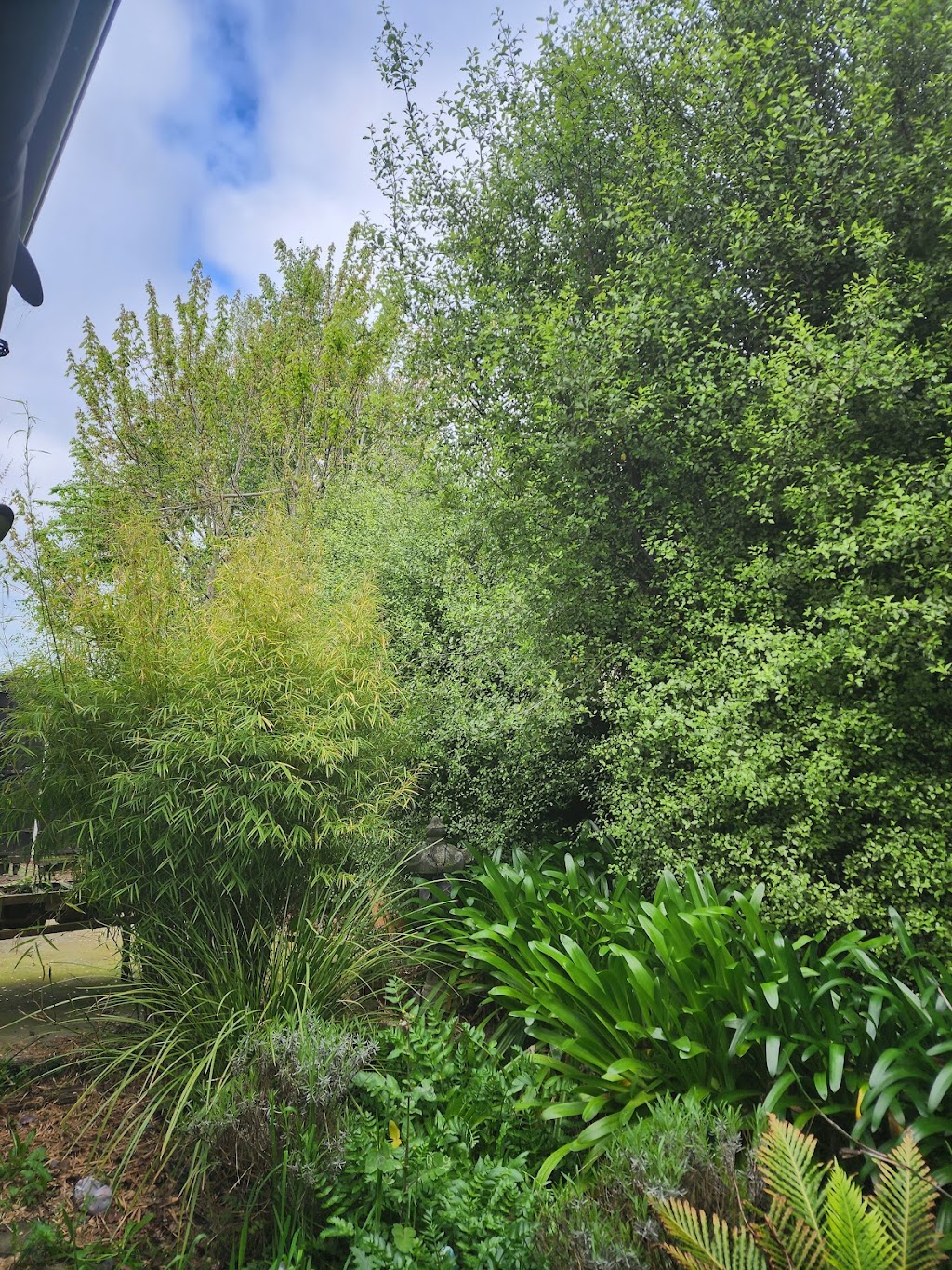 Victorian Tree Specialists | 281 Blackburn Rd, Blackburn South VIC 3130, Australia | Phone: 1300 604 510