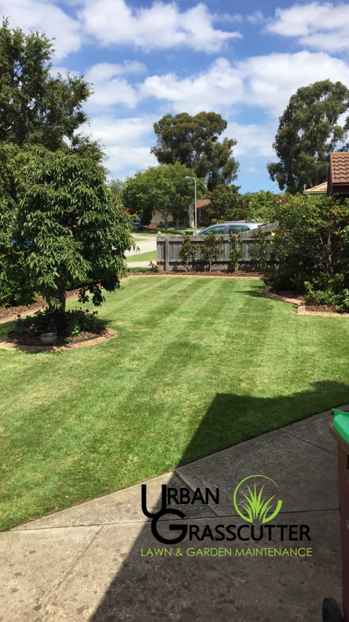 Urban Grasscutter | 14 Bardsley Ct, Narre Warren VIC 3804, Australia | Phone: 0431 517 801